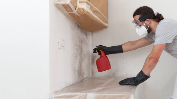 Professional Mold Remediation technician working in Bay Shore, NY